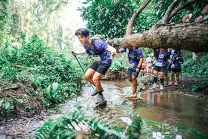 BIB: 
                            <button type="button" onclick="openModal(25517259)" class="btn btn-primary btn-sm float-right btn-popup" data-toggle="modal" data-target=".modal-high-quality">
                        <i class="fas fa-shopping-cart"></i> Add to Cart
                    </button>
                                            <button type="button" onclick="isThisMe(25517259, true)" class="btn btn-success btn-sm float-right btn-popup btn-isme hidden" data-toggle="tooltip" data-placement="bottom" title="นี่คือรูปของคุณใช่ไหม คลิกที่นี่เพื่อเอาเข้าอัลบั้ม">
                        <i class="fas fa-plus"></i> Add to album
                    </button>
                    <button type="button" onclick="isThisMe(25517259, false)" class="btn btn-warning btn-sm float-right btn-popup btn-isnotme hidden">
                        <i class="fas fa-ban"></i> Remove from album
                    </button>